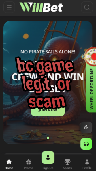 BC.Game Legit or Scam? Unbiased Review-vz72fvrf.com