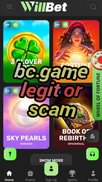 BC.Game Legit or Scam? Unbiased Review-vz72fvrf.com
